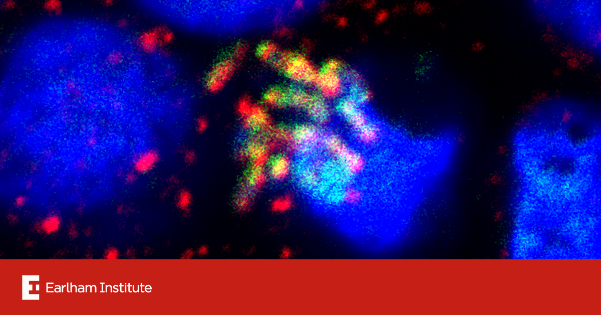 Evolutionary arms race pits our cellular defence mechanisms against